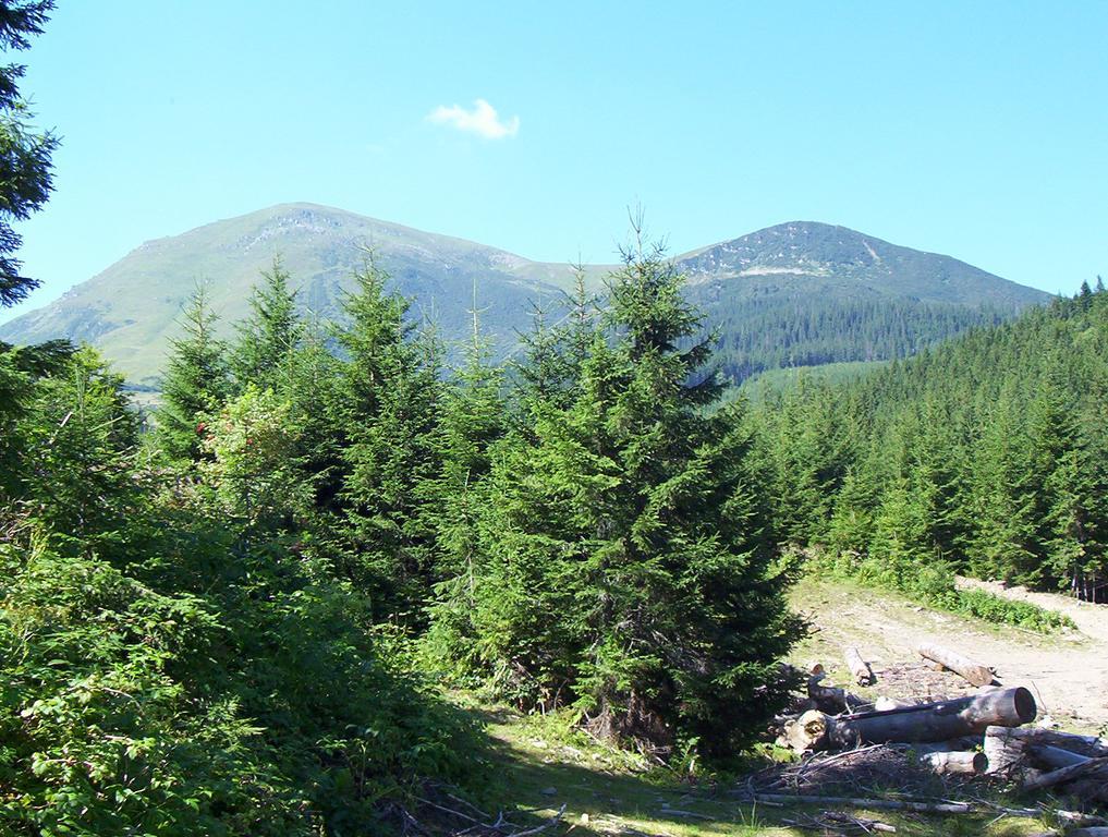 Gostynnyi Dvir U Marichky Lazeshchyna Exterior foto